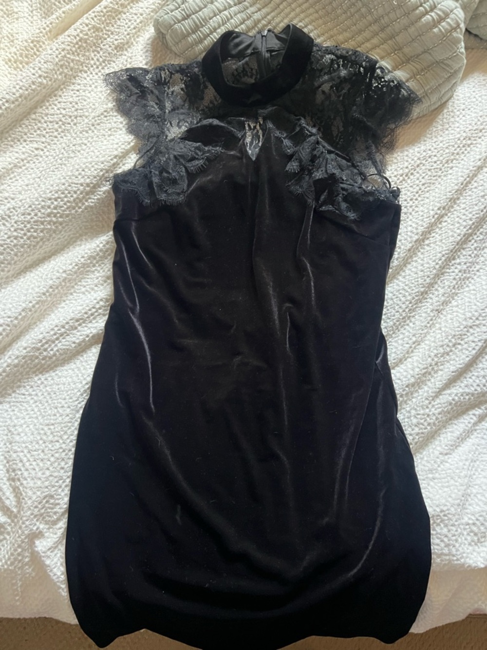 Size 12 White House black market lace and velvet dress